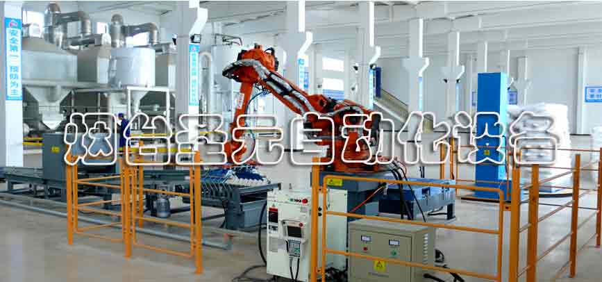 全自動碼垛生產(chǎn)線案例 (圖3)