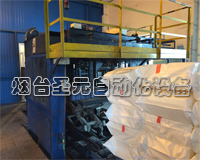 非標(biāo)設(shè)計(jì)碼垛機(jī)