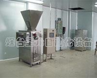 混合式閥口袋包裝機(jī)