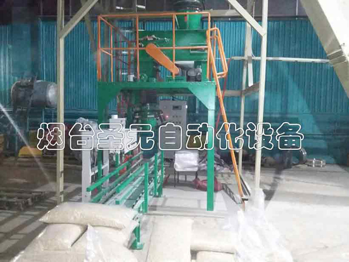 皮帶式毛重型包裝機(jī)圖